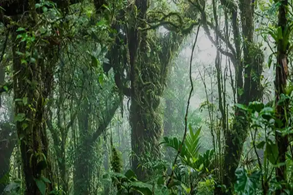 Central-America
